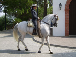 Horse Riding in Mijas